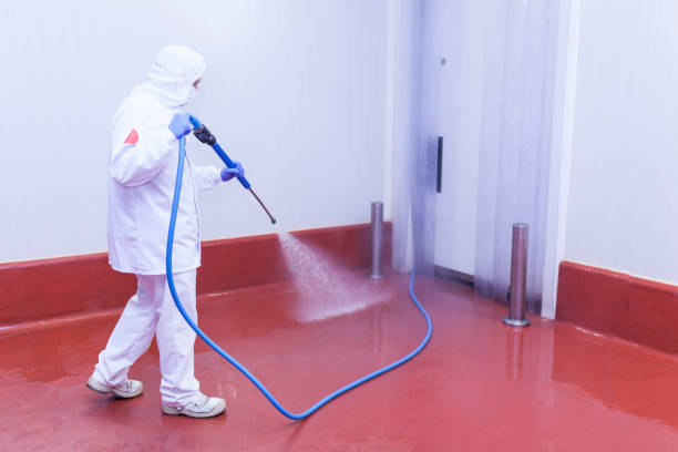 Best Solar Panel Cleaning  in Hartsville, SC